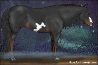 Horse Color:Liver Chestnut Frame 