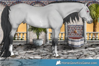 Horse Color:Brown Chinchilla Sabino  Brindle