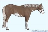 Horse Color:Silver Black Sabino