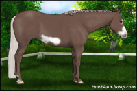 Horse Color:Silver Black Frame