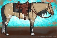 Horse Color:White Spotted Bay Dun