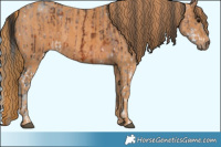 Horse Color:White Spotted Brown Ice Tobiano Rabicano  Brindle