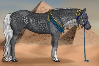 Horse Color:Silver Black Chinchilla