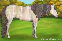 Horse Color:Nacre White Spotted Amber Champagne Ice