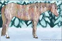 Horse Color:Nacre Chestnut Ice Sabino 