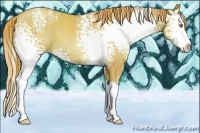 Horse Color:Watercolor White Spotted Gold Champagne Splash