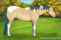 Horse Color:Watercolor Bay Dun Tobiano
