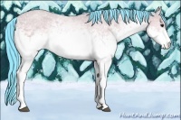 Horse Color:Watercolor White Spotted Bay Rabicano 