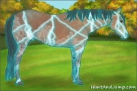 Horse Color:Thunderstruck Bay Ice 