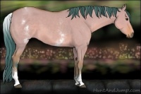 Horse Color:Watercolor White Spotted Bay Dun 