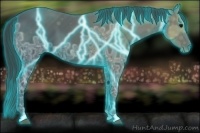 Horse Color:Thunderstruck Black Ice 