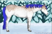 Horse Color:Watercolor White Spotted Bay 