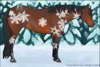 Horse Color:Bay Ice 