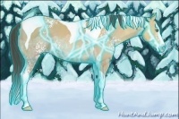 Horse Color:Thunderstruck White Spotted Amber Champagne Ice Splash Tobiano