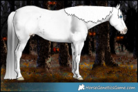 Horse Color:Liver Chestnut Frame 
