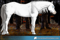 Horse Color:Liver Chestnut Frame 