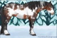 Horse Color:White Spotted Brown Frame 