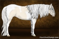 Horse Color:Silver Perlino Roan Tobiano