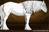 Horse Color:Cremello Splash Tobiano