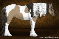 Horse Color:Buckskin Roan Dun Tobiano