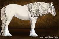 Horse Color:Perlino Roan 