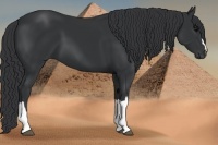 Horse Color:Black Frame 