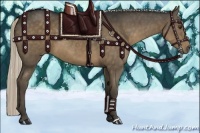 Horse Color:Liver Chestnut 