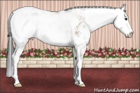 Horse Color:Bay Dun Sabino 