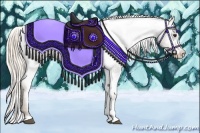 Horse Color:Liver Chestnut Appaloosa 