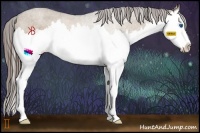 Horse Color:Liver Red Dun Splash Rabicano