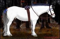Horse Color:White Spotted Buckskin 