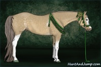 Horse Color:White Spotted Chocolate Palomino Dun 