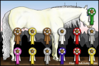 Horse Color:Gray Perlino Roan Splash Rabicano 