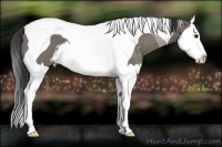Horse Color:Grullo Sabino Splash Tobiano 