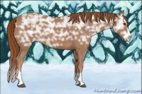 Horse Color:Chestnut Ice Splash 