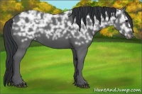 Horse Color:Black Ice 