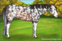Horse Color:Brown Ice Splash