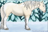 Horse Color:Palomino Ice Pearl Splash Tobiano