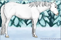 Horse Color:Silver Smoky Grullo Sabino Tobiano Appaloosa