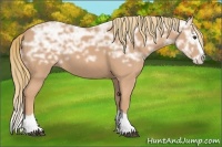 Horse Color:Chestnut Ice Splash 
