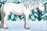 Horse Color:Buckskin Splash Tobiano Appaloosa