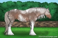 Horse Color:White Spotted Silver Bay Ice Tobiano