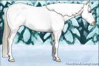Horse Color:Chestnut Splash Tobiano Frame Blanket Rabicano