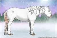 Horse Color:Buckskin Roan Tobiano Varnish