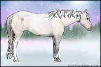 Horse Color:Bay Roan Varnish 