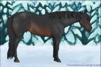 Horse Color:Brown 