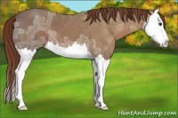 Horse Color:Chestnut Ice Splash