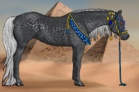 Horse Color:Silver Black Chinchilla 