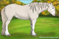 Horse Color:Smoky Creme Sabino  Brindle