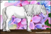 Horse Color:Cremello Sabino Appaloosa Rabicano